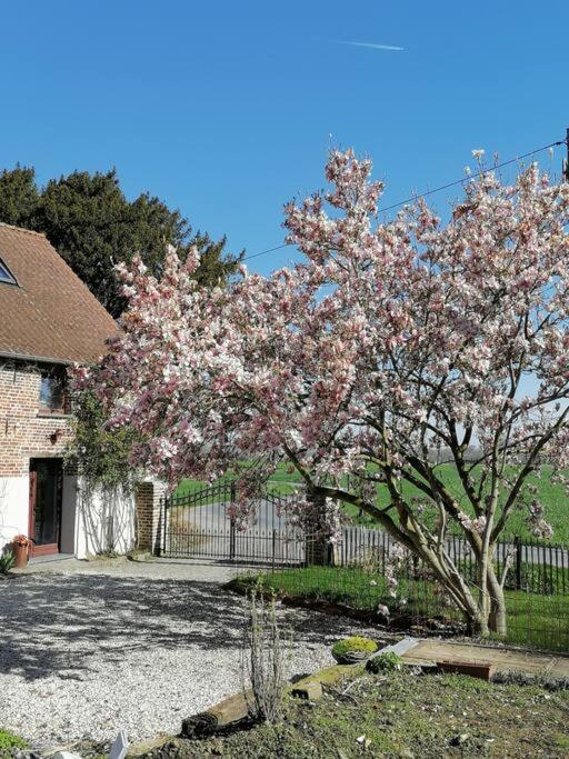 Gite Rural La Ferme Du Semeur-Zaaiershof Lessines Kültér fotó